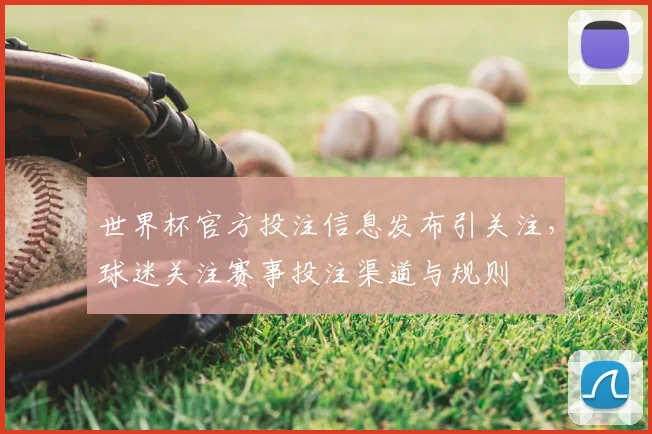 世界杯官方投注信息发布引关注,球迷关注赛事投注渠道与规则